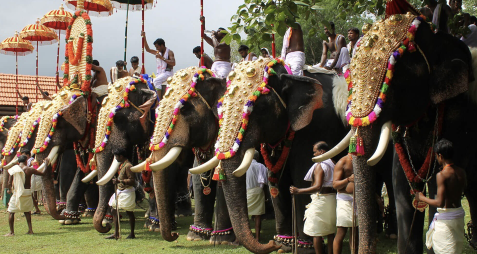 Photo of Festivals and Events in March That You Need to Bookmark by Khyati Maloo